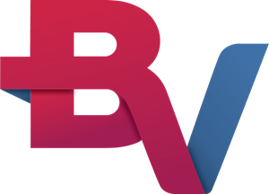 bv-financeira-logo-6984EABC67-seeklogo.com